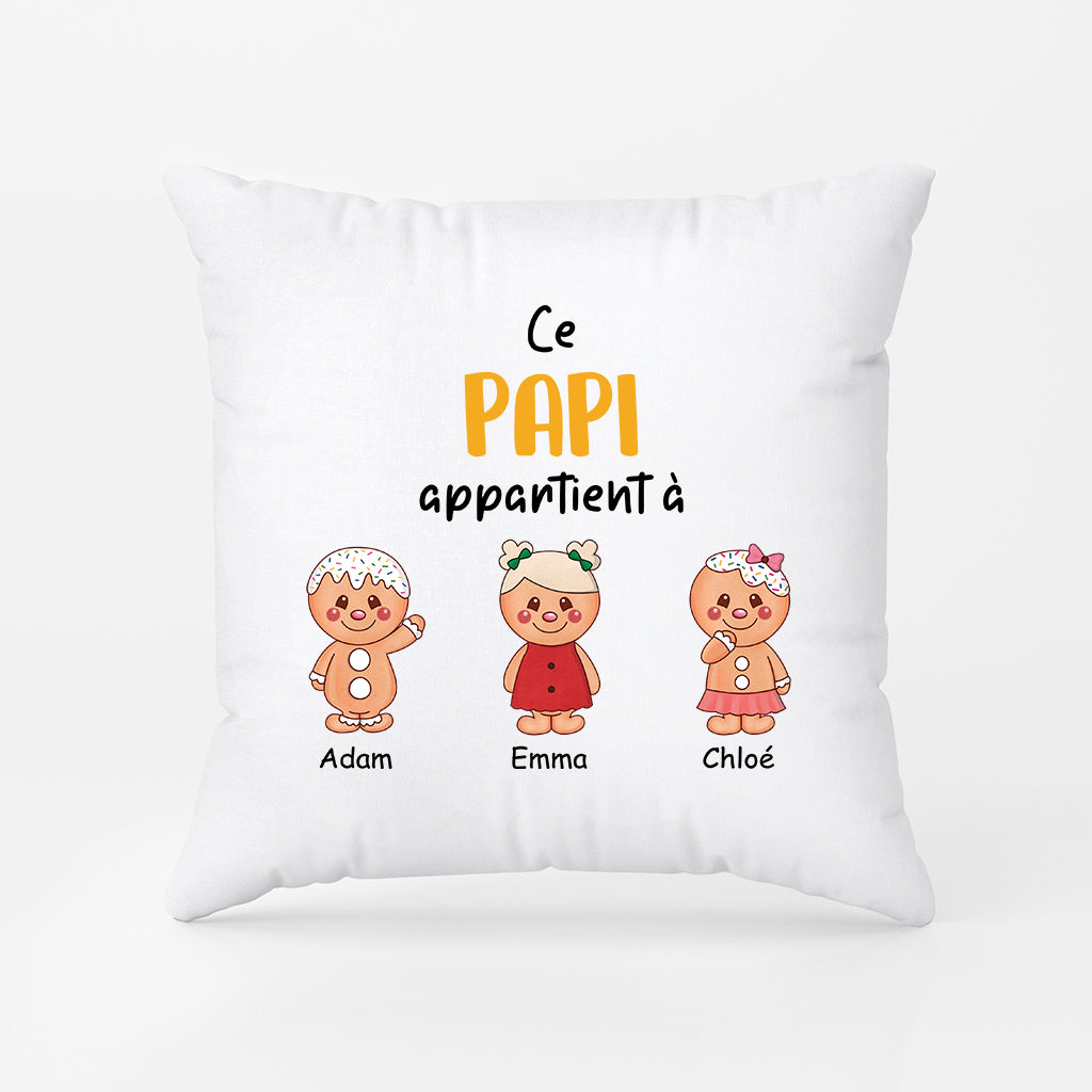2977PFR2 cette mamie appartient a version biscuits coussin personnalisable pour mamie