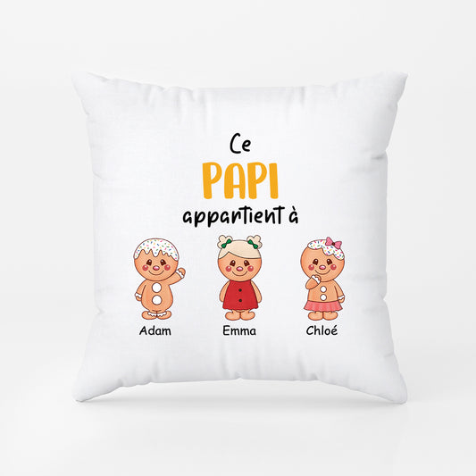 2977PFR2 cette mamie appartient a version biscuits coussin personnalisable pour mamie