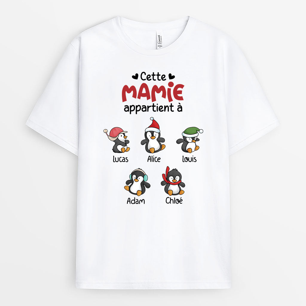 3079AFR1 cette mamie appartient a des manchots de noel t shirt personnalise mamie