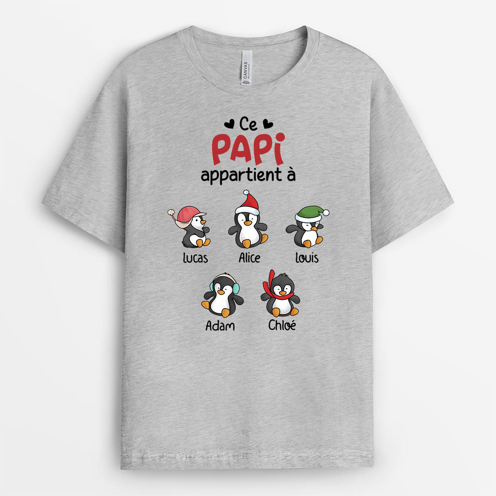 3079AFR2 ce papy appartient a des manchots de noel tee shirt papy personnalisable