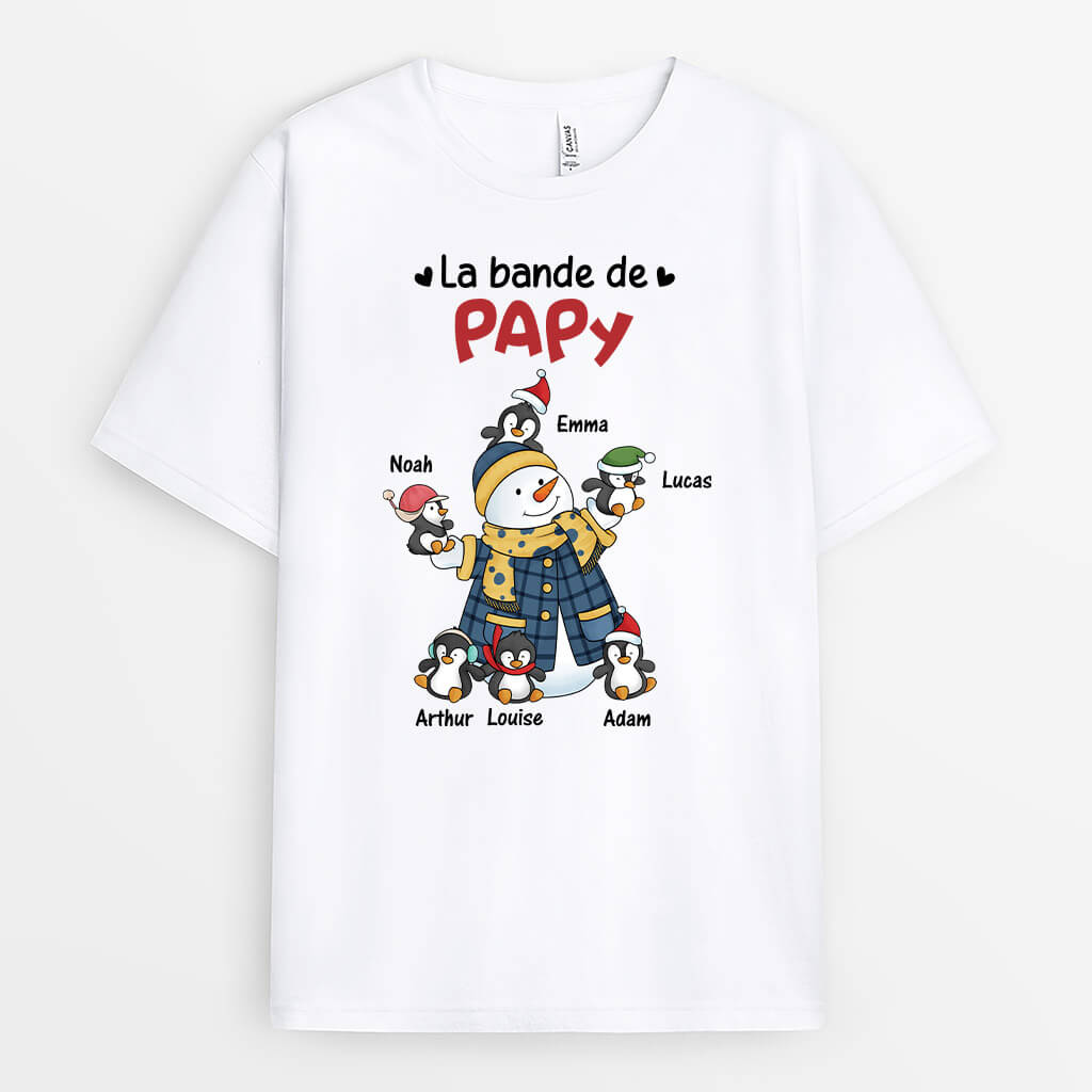 3082AFR1 la bande des manchots de mamie t shirt personnalise grand mere