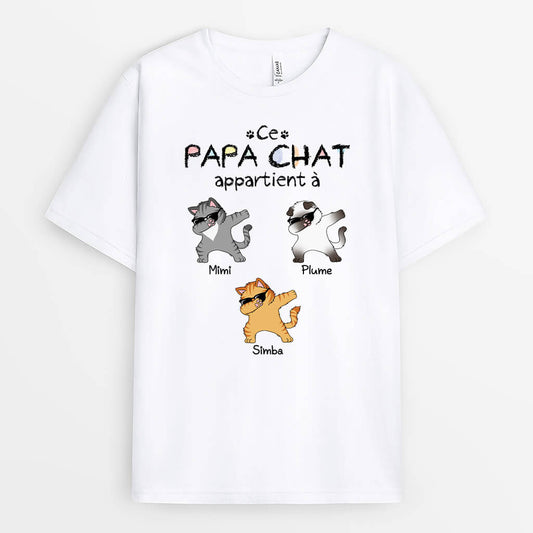 3108AFR1 cette maman chat appartient a des chats qui font un dab t shirt personnalise avec chat