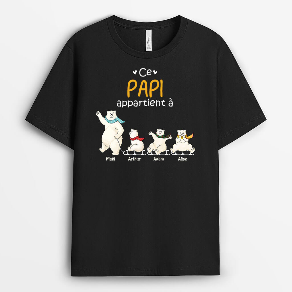 3176AFR1 ce papy appartient a version famille dours blancs t shirt personnalise papy