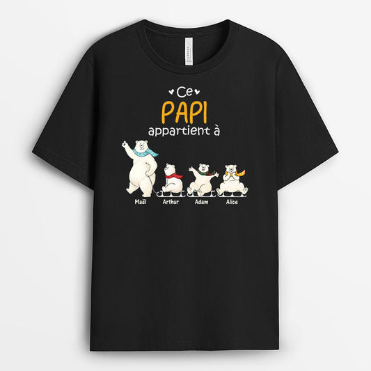 3176AFR1 ce papy appartient a version famille dours blancs t shirt personnalise papy