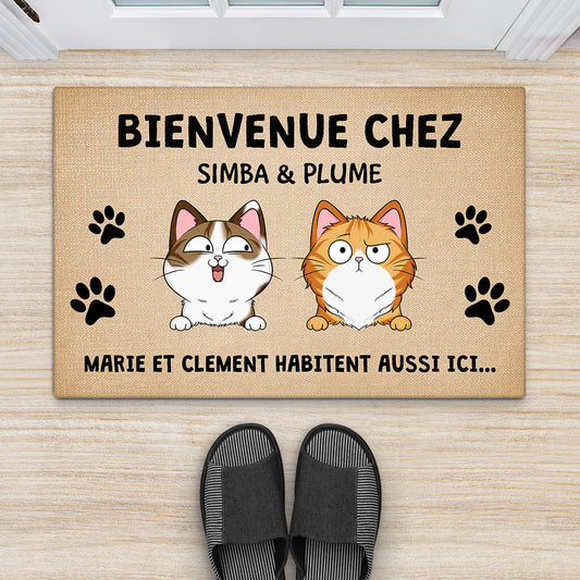 3336DFR2 bienvenue chez nous version chats espiegles paillasson chat personnalise