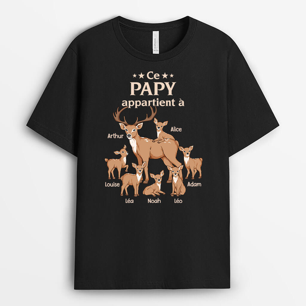 3383AFR1 ce papy cerf appartient a tee shirt papy personnalisable