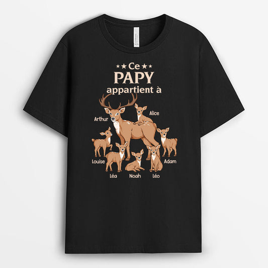 3383AFR1 ce papy cerf appartient a tee shirt papy personnalisable