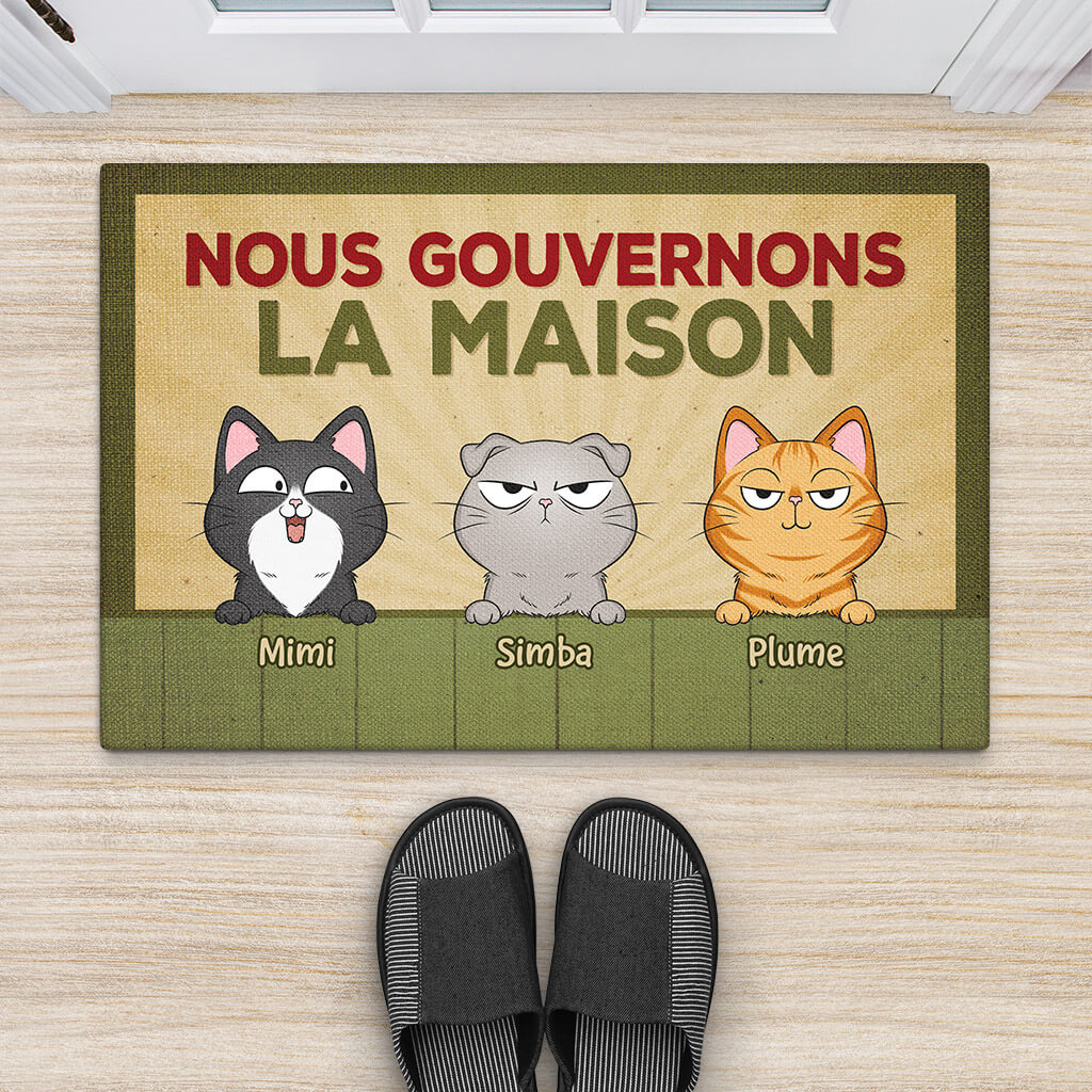 3408DFR2 nous gouvernons la maison style retro version chat paillasson personnalise chat