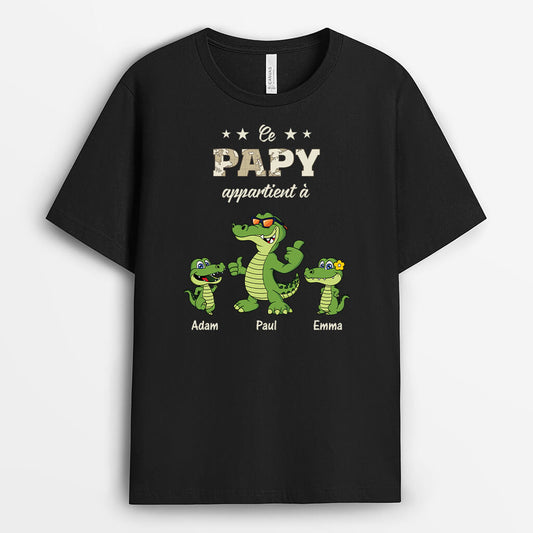 3478AFR1 ce papy crocodile cool appartient a t shirt papy personnalisable