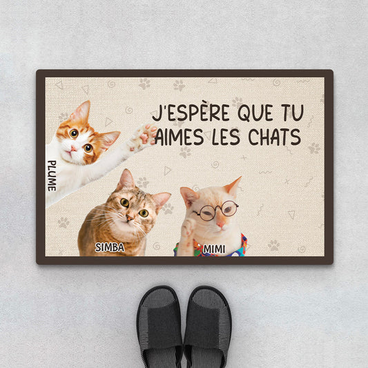 3497DFR1 jespere que tu aimes les chats Paillasson personnalise avec chat