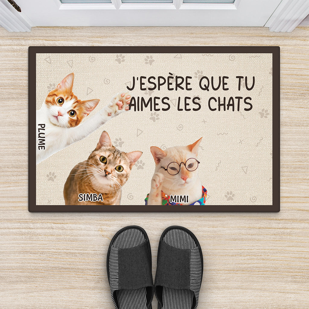 3497DFR2 jespere que tu aimes les chats Paillasson personnalise avec chat