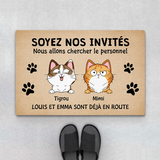 3530DFR1 soyez notre invite paillasson personnalise chat