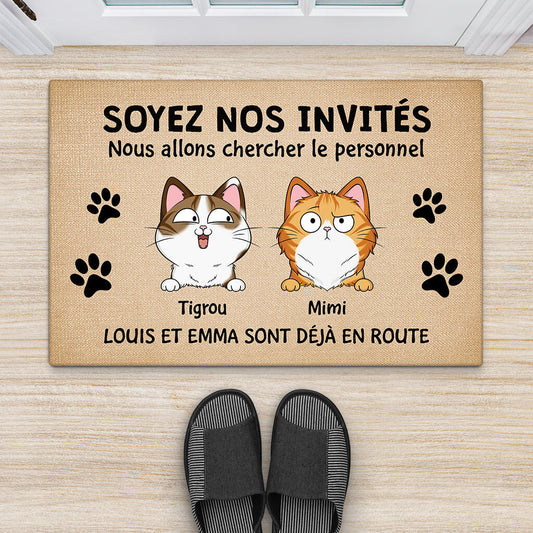 3530DFR2 soyez notre invite paillasson personnalise chat