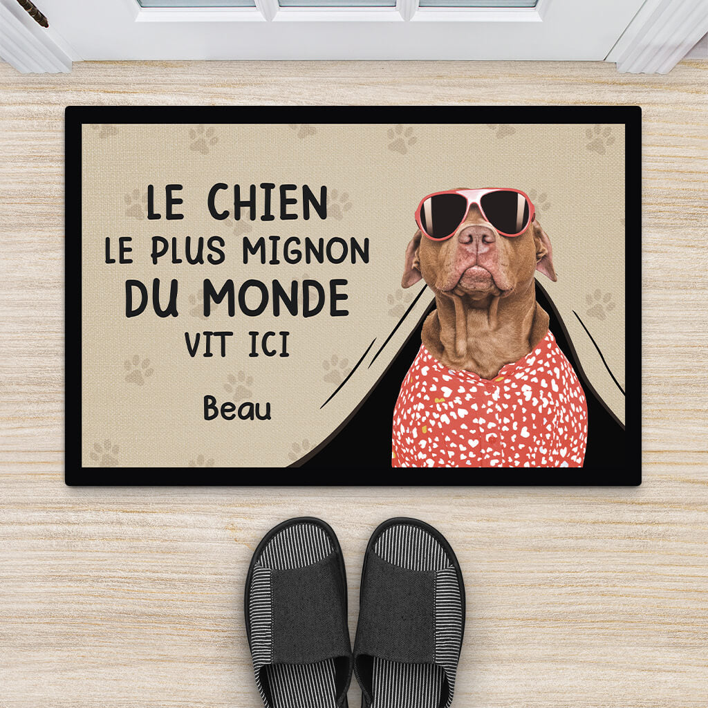 3542DFR2 le chien le plus mignon du monde vit ici t shirt chien personnalise