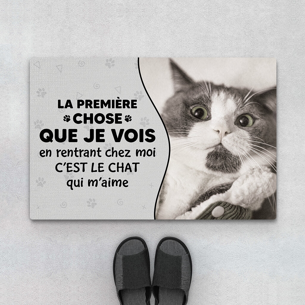 3550DFR1 la premiere chose que je vois en rentrant chez moi cest le chat qui m_aime paillasson personnalise chat_2925fabc e69e 4996 86de f0c2756056fd