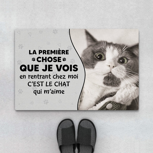 3550DFR1 la premiere chose que je vois en rentrant chez moi cest le chat qui m_aime paillasson personnalise chat_2925fabc e69e 4996 86de f0c2756056fd