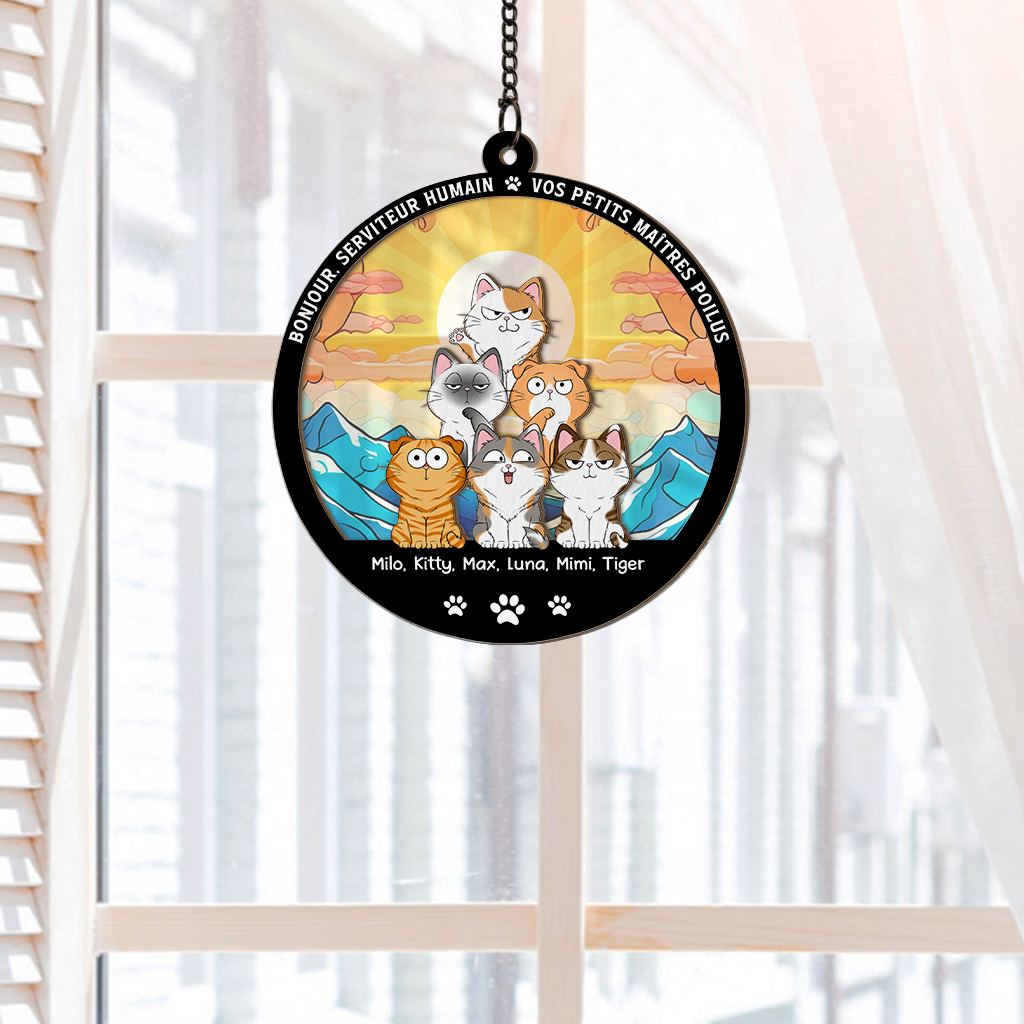 3788UFR2 attrape soleil personnalise en acrylique avec chats bonjour 3788u6i5d