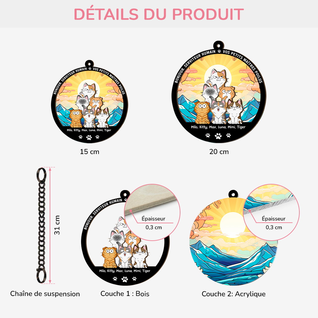 3788UFR3 attrape soleil personnalise en acrylique avec chats bonjour 3788u6i5d