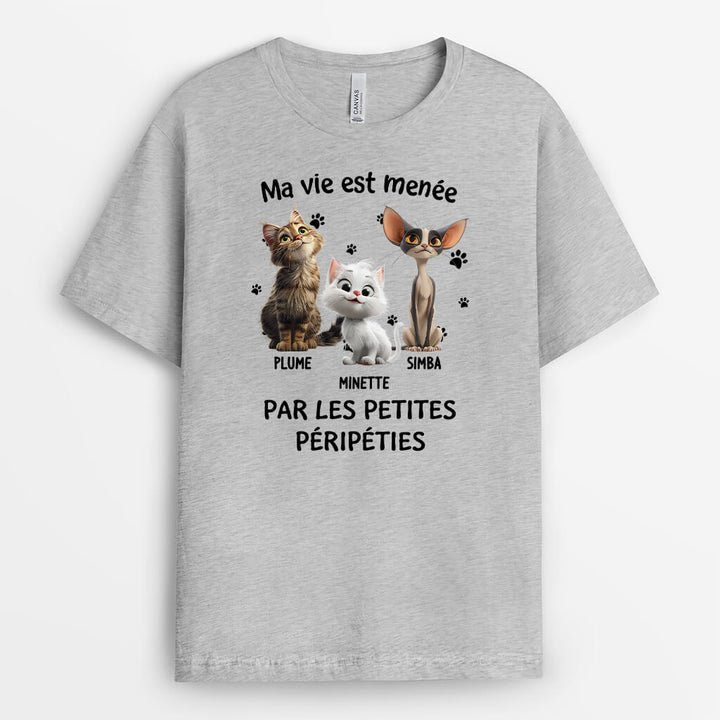 Tee Shirt Humour Pour Homme Et Femme Personnalisé - Cadeau Plus