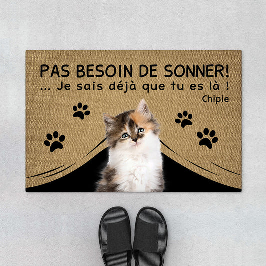 4291DFR1 paillasson personnalise chat pas besoin de sonner 4291d8q3d