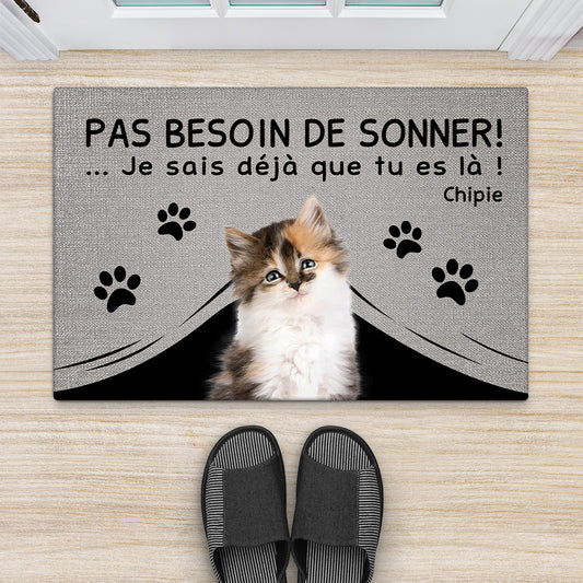 4291DFR2 paillasson personnalise chat pas besoin de sonner 4291d8q3d