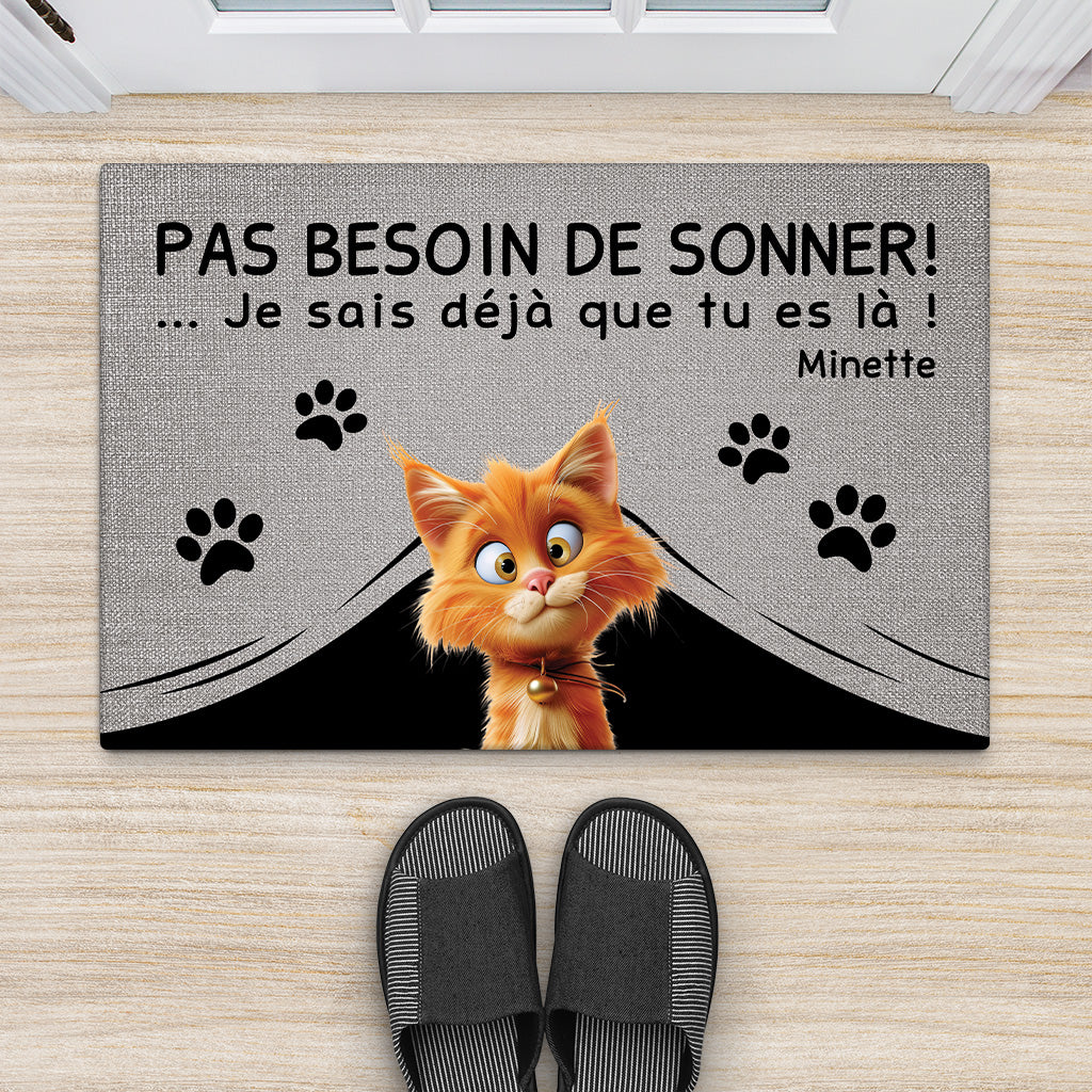 4334DFR2 paillasson chat personnalise pas besoin de frapper version vintage design cartoon 4334d8q5d