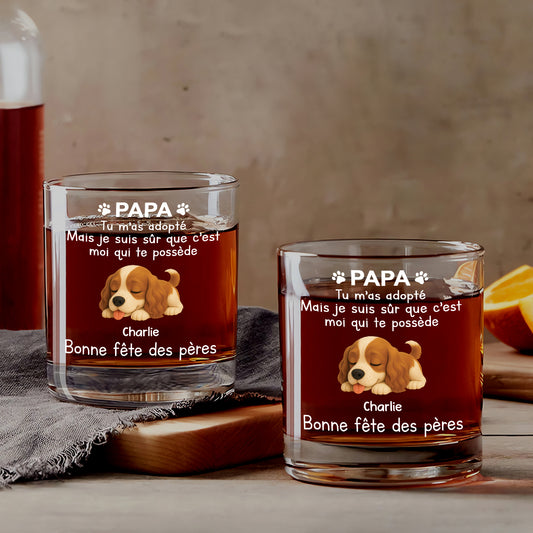 4716IFR1 verre a whisky personnalise avec chien c_est moi qui te possede 4716ikytc