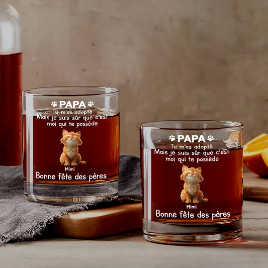 4716IFR2 verre a whisky personnalise avec chat c_est moi qui te possede 4716ikytd