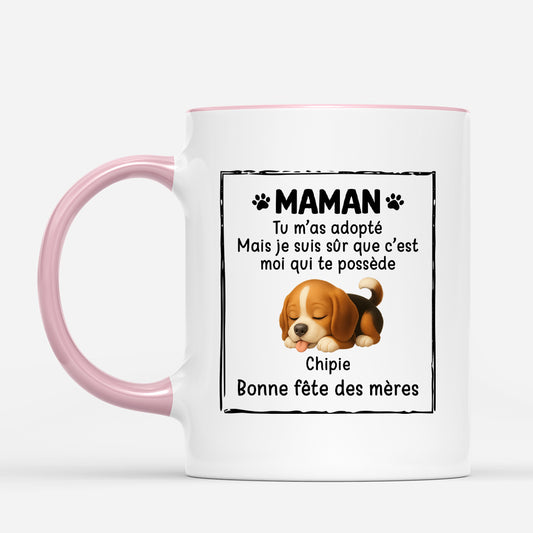 4878MFR2 mug chien cadeau fete des peres personnalise c_est moi qui te possede 4878mkymc