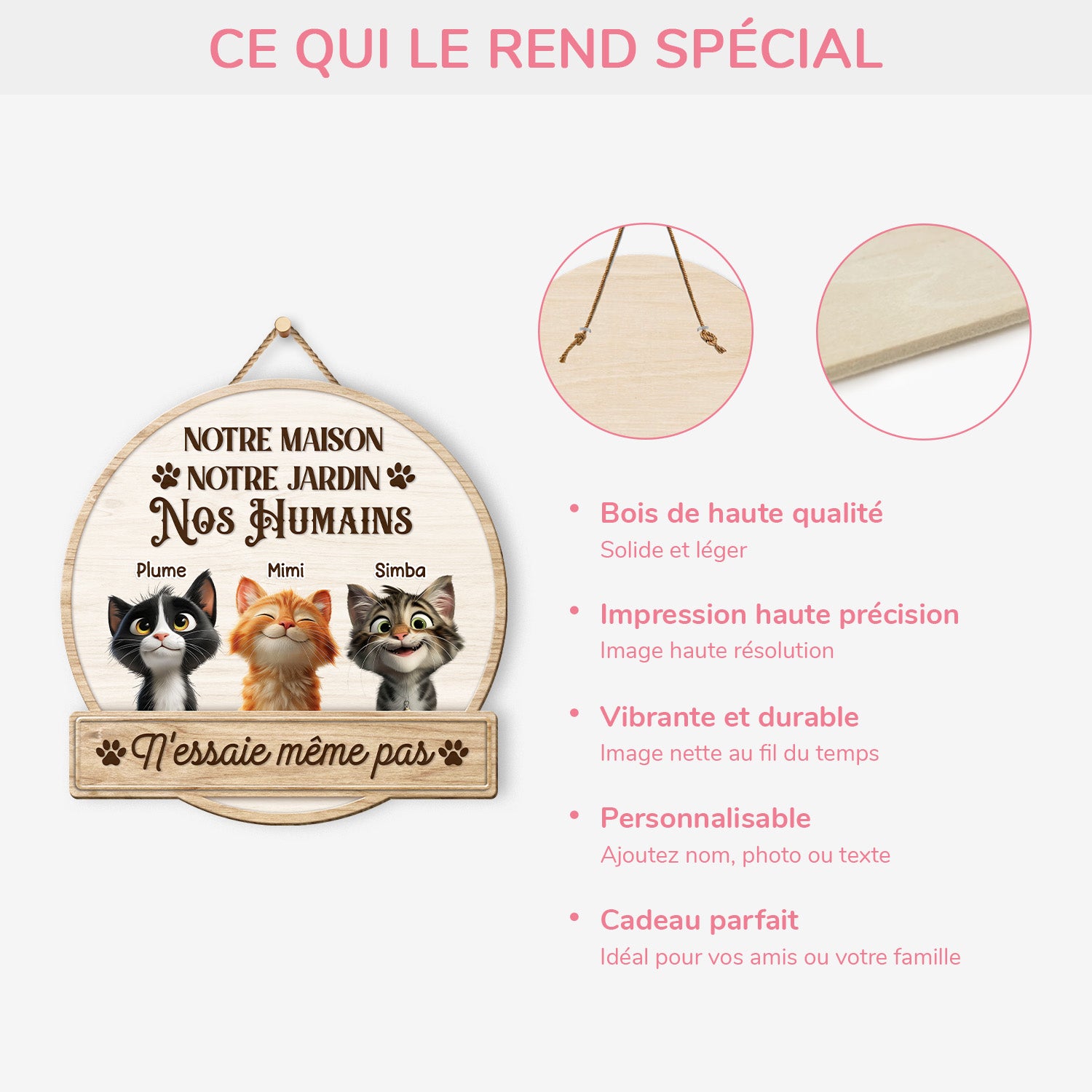 5097QFR4 plaque en bois personnalisee avec chat a suspendre nessaie meme pas 5097q8ttd