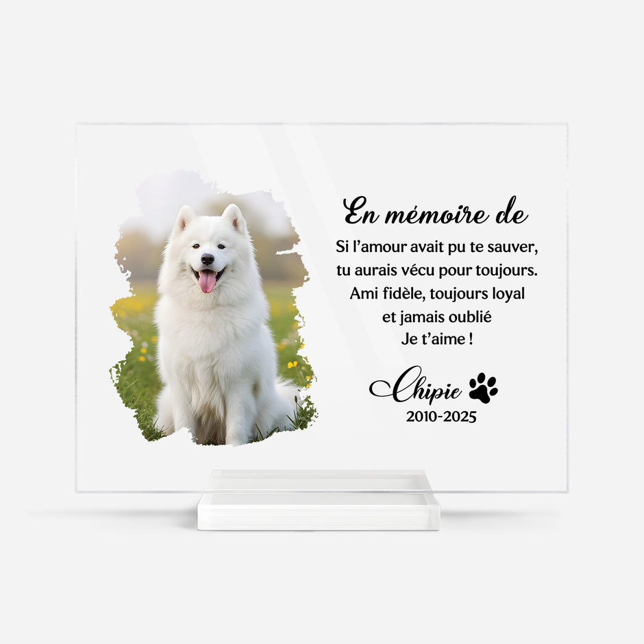 Plaque Acrylique Photo Papillon Personnalisée - Idée Cadeau Commémoratif - Ceux Qu'on Aimé Ne Partent Pas Ils Volent À Nos Côtés Tous Les Jours main image 0