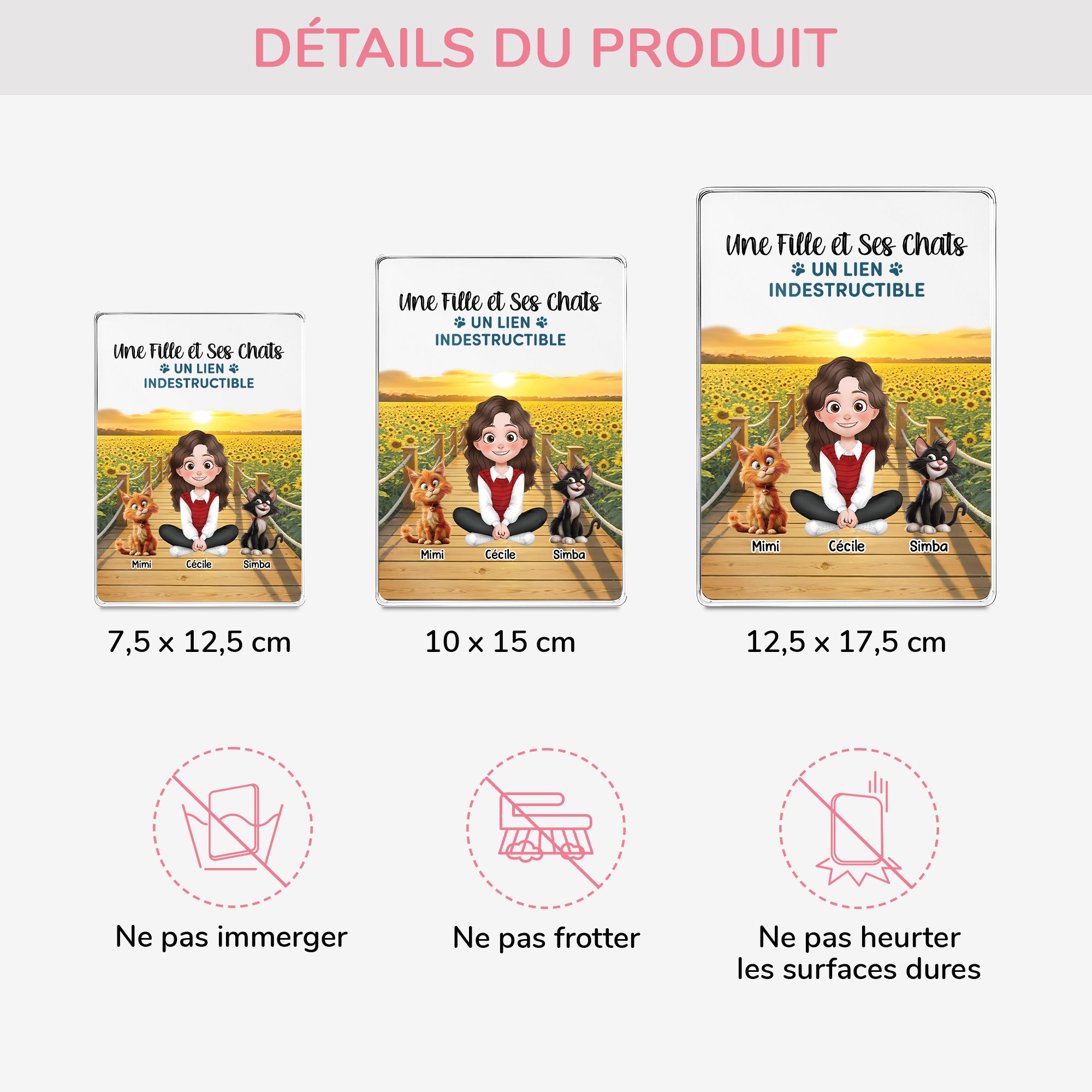 5171RFR3 plaque en acrylique personnalisee famille avec mots croises 5171r8qzd