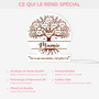 5234LFR4 lightbox personnalisable pour mamie cest grace a toi version arbre 5234lthta