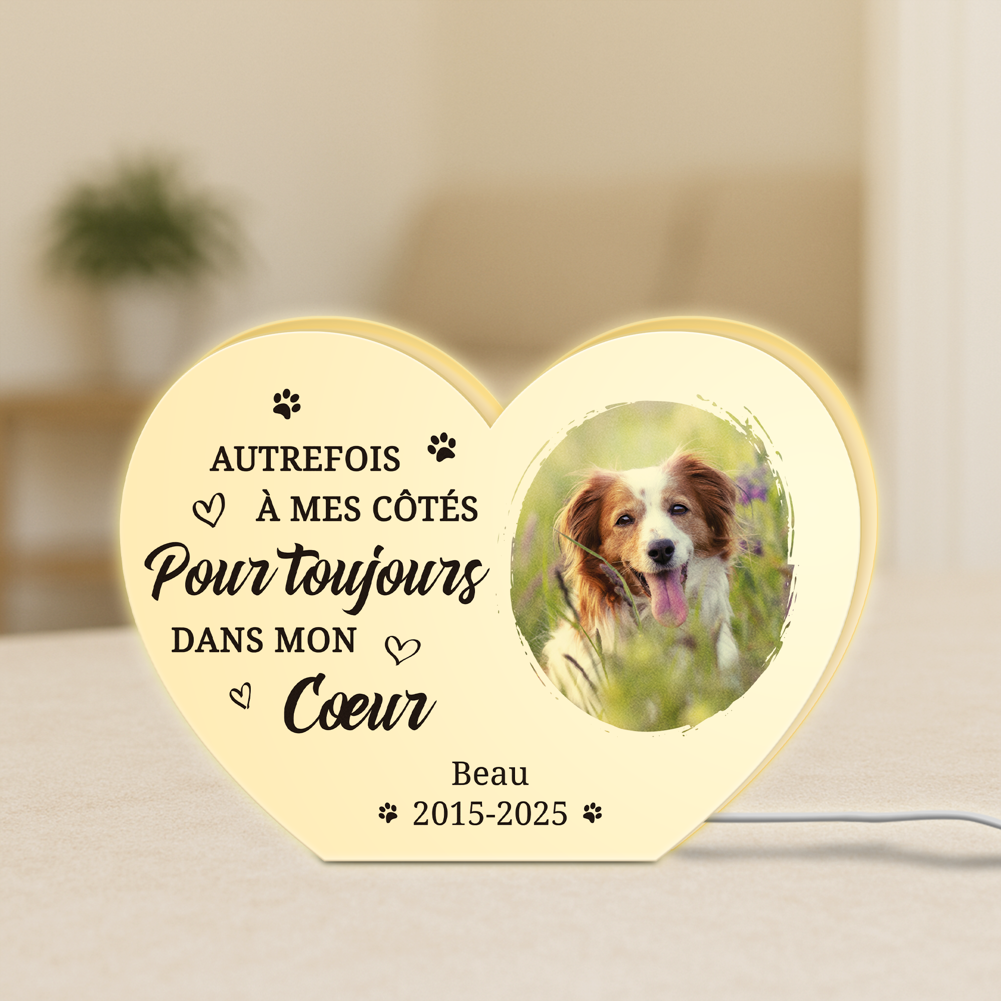 5251LFR1 lightbox personnalisable toujours dans mon coeur cadeau commemoratif chien 5251l8h5c_7c7492dc bb3d 4f56 ac17 799b4d819336