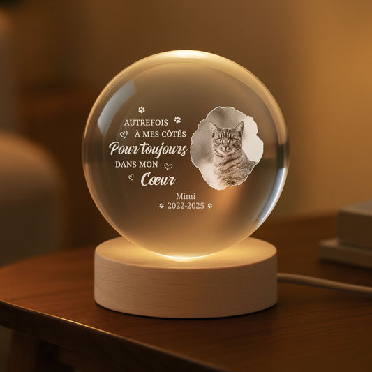 5251LFR2 veilleuse boule de cristal personnalisee avec photo commemorative chienchat toujours dans mon coeur 5251l8v5c