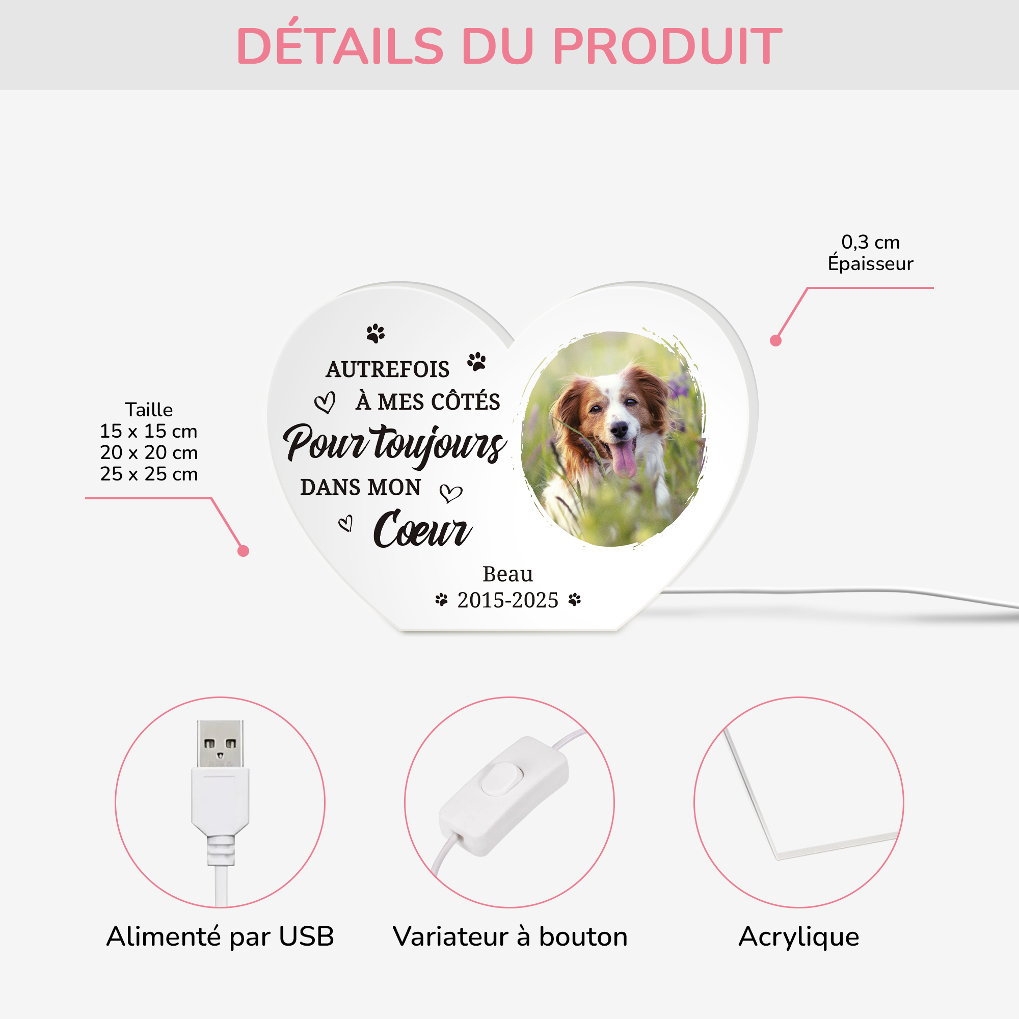 5251LFR3 lightbox personnalisable toujours dans mon coeur cadeau commemoratif chien 5251l8h5c_78e6c15e e237 4b13 8532 2649e83af315