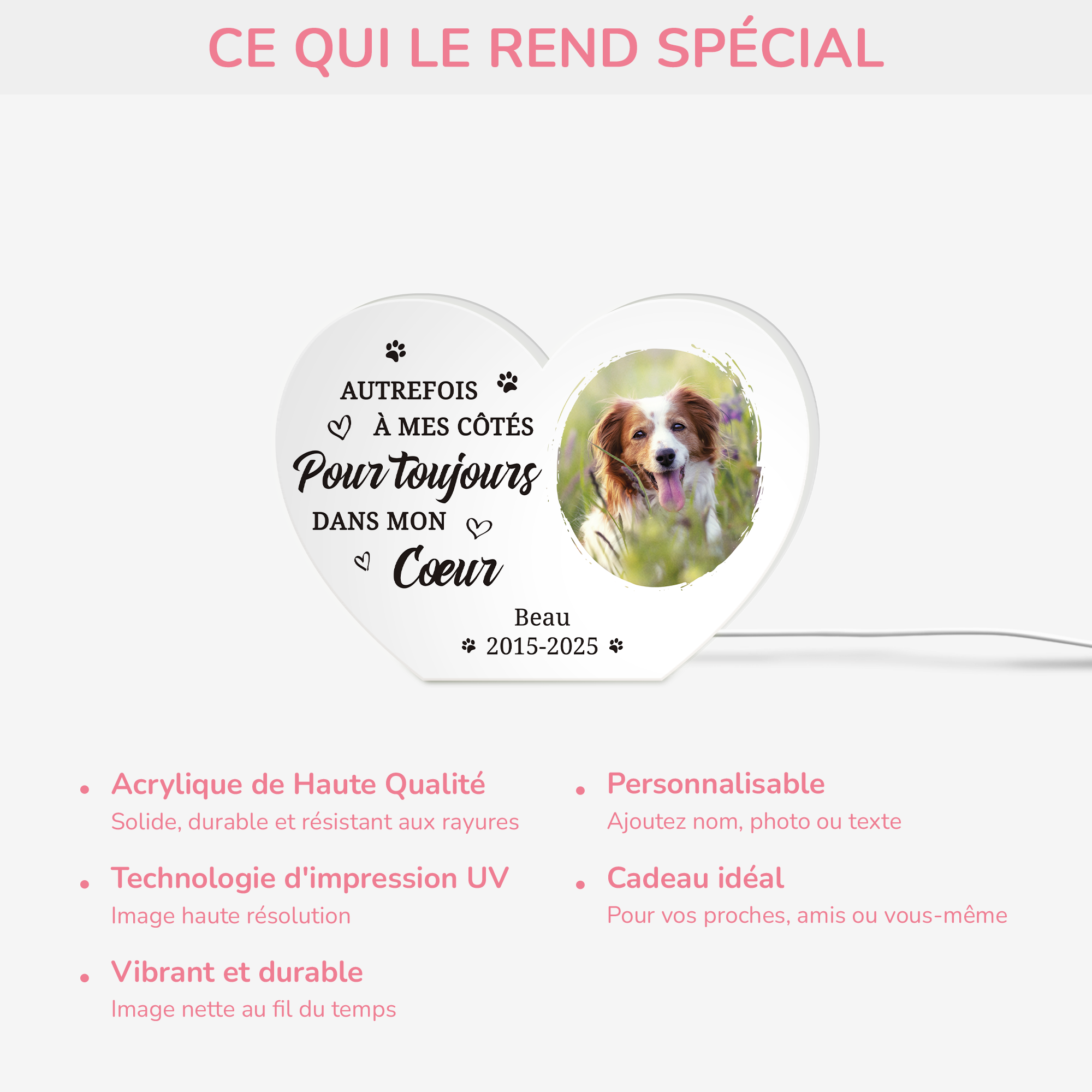 5251LFR4 lightbox personnalisable toujours dans mon coeur cadeau commemoratif chien 5251l8h5c_4a3f9b0a 1e94 4f18 a52c 1ecdaa8ab89e