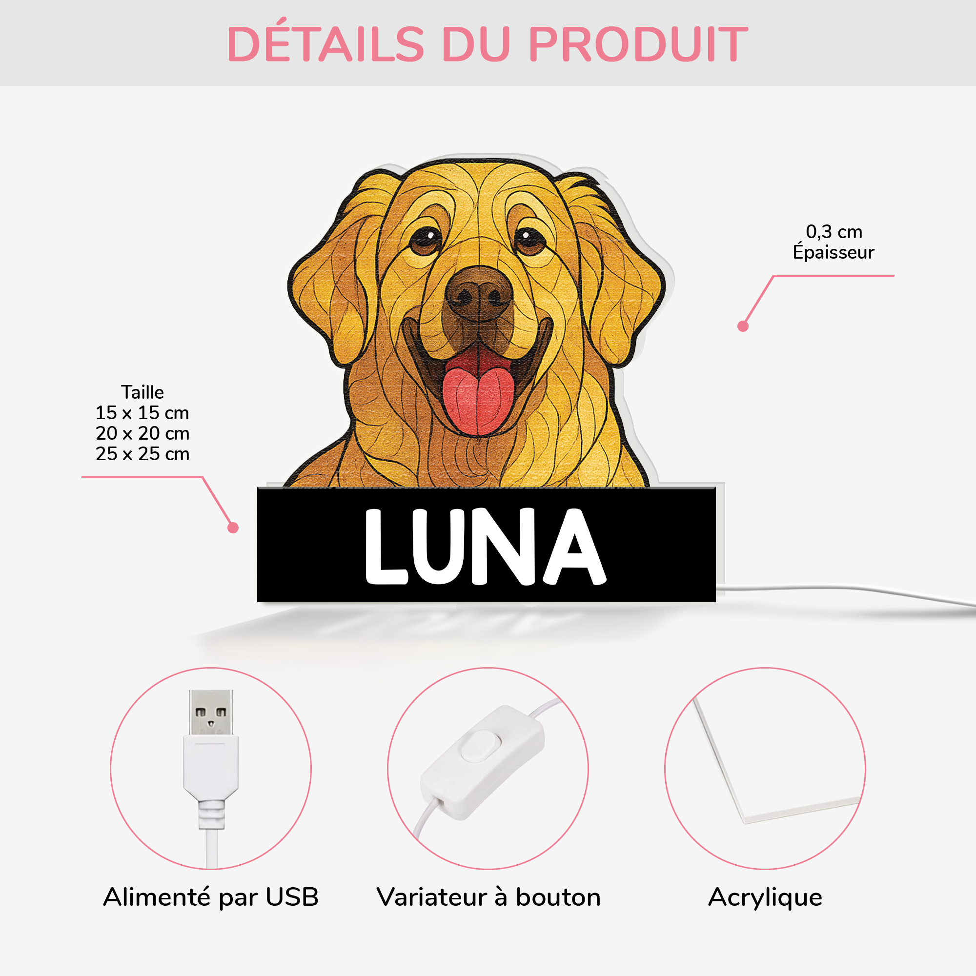 5253LFR3 lightbox personnalisable chien style vitrail 5253l3n5c