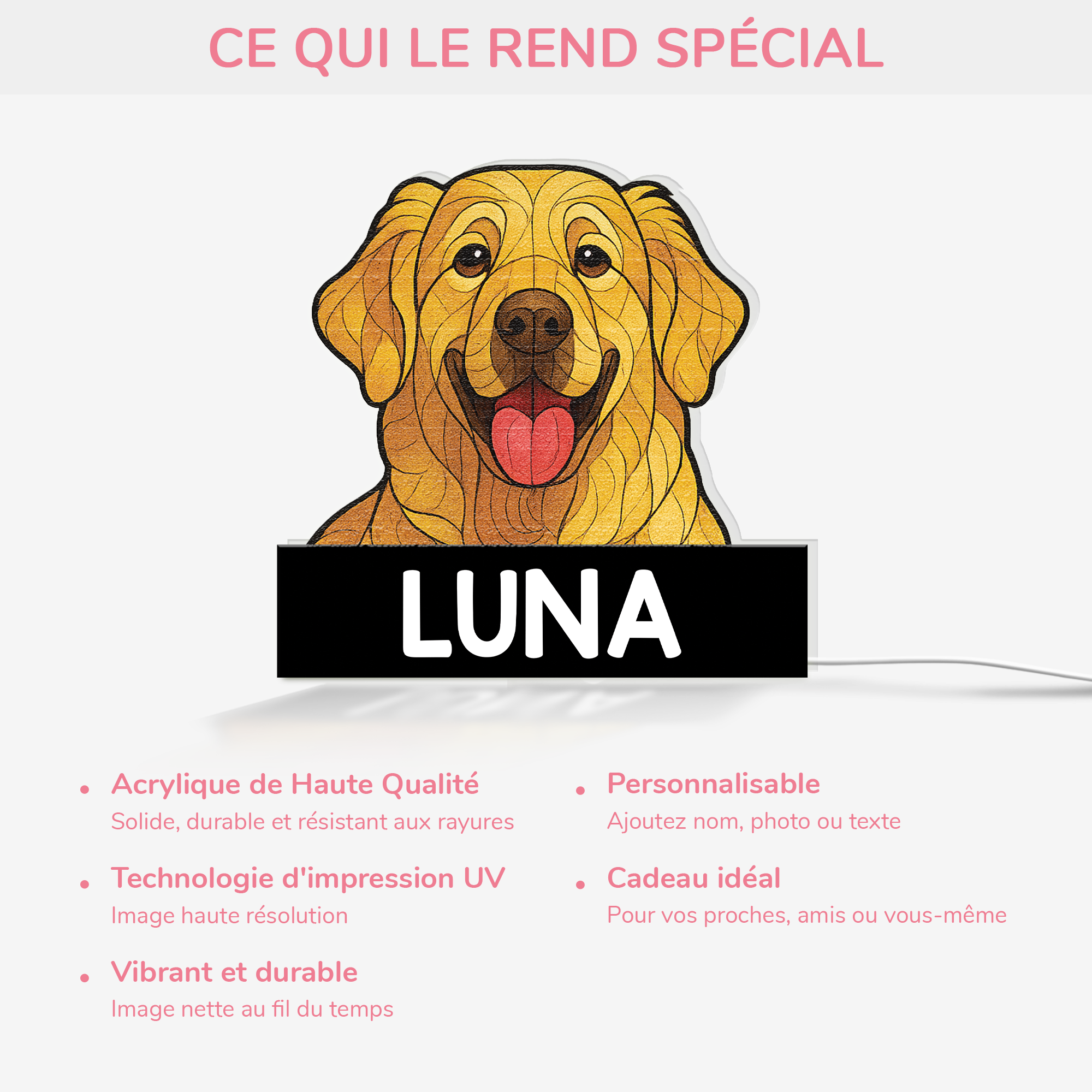 5253LFR4 lightbox personnalisable chien style vitrail 5253l3n5c