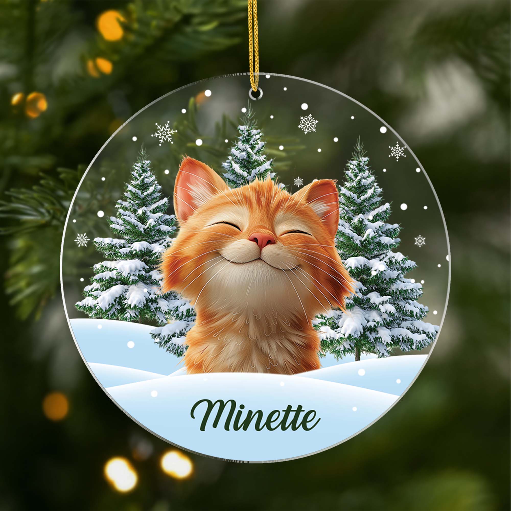 5379OFR1 ornement acrylique personnalise avec photo mon chat avec sapin de noel 5379okq5d