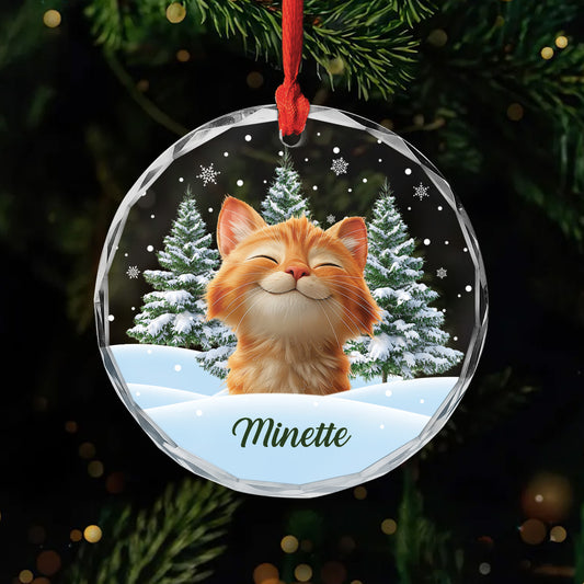 5379OFR1 ornement en verre noel chat sapin personnalise photo 5379okqmd