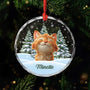 5379OFR1 ornement en verre noel chat sapin personnalise photo 5379okqmd
