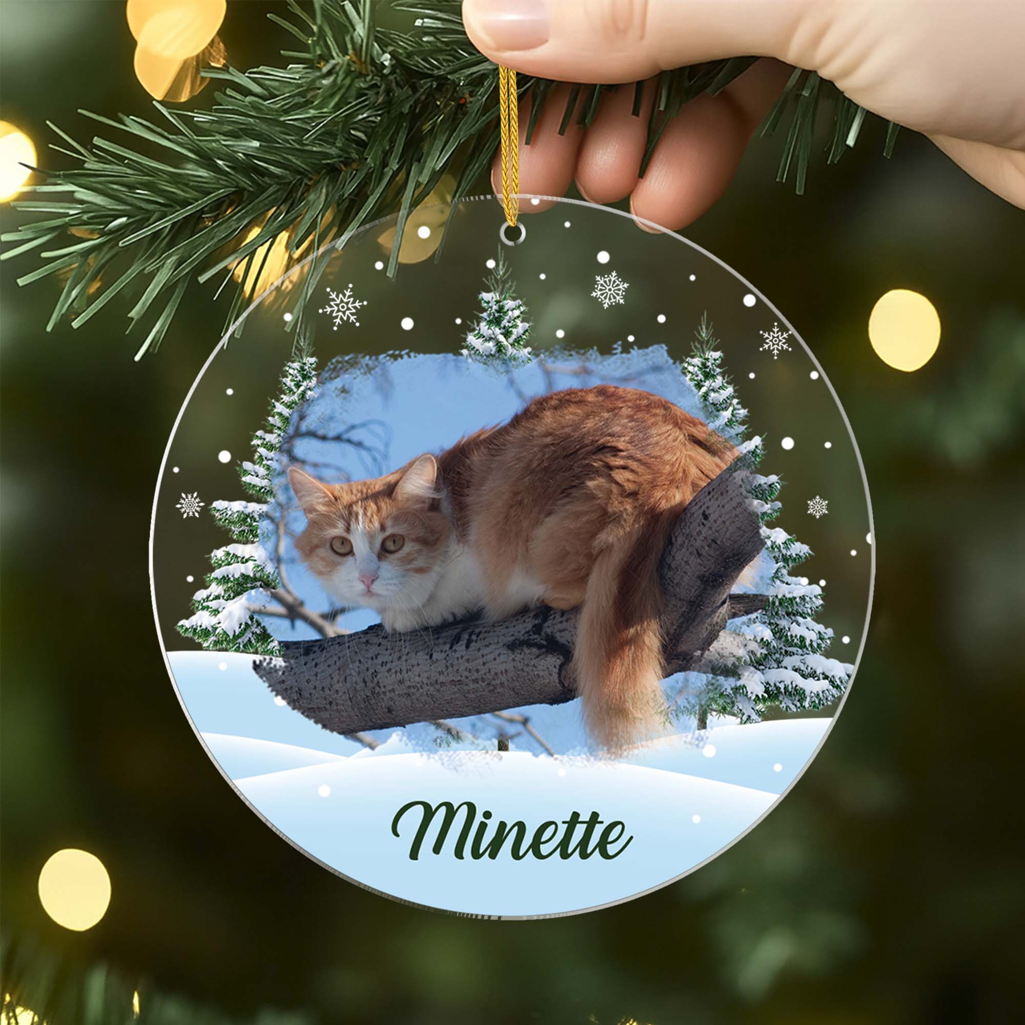 5379OFR2 ornement acrylique personnalise avec photo mon chat avec sapin de noel 5379okq5d