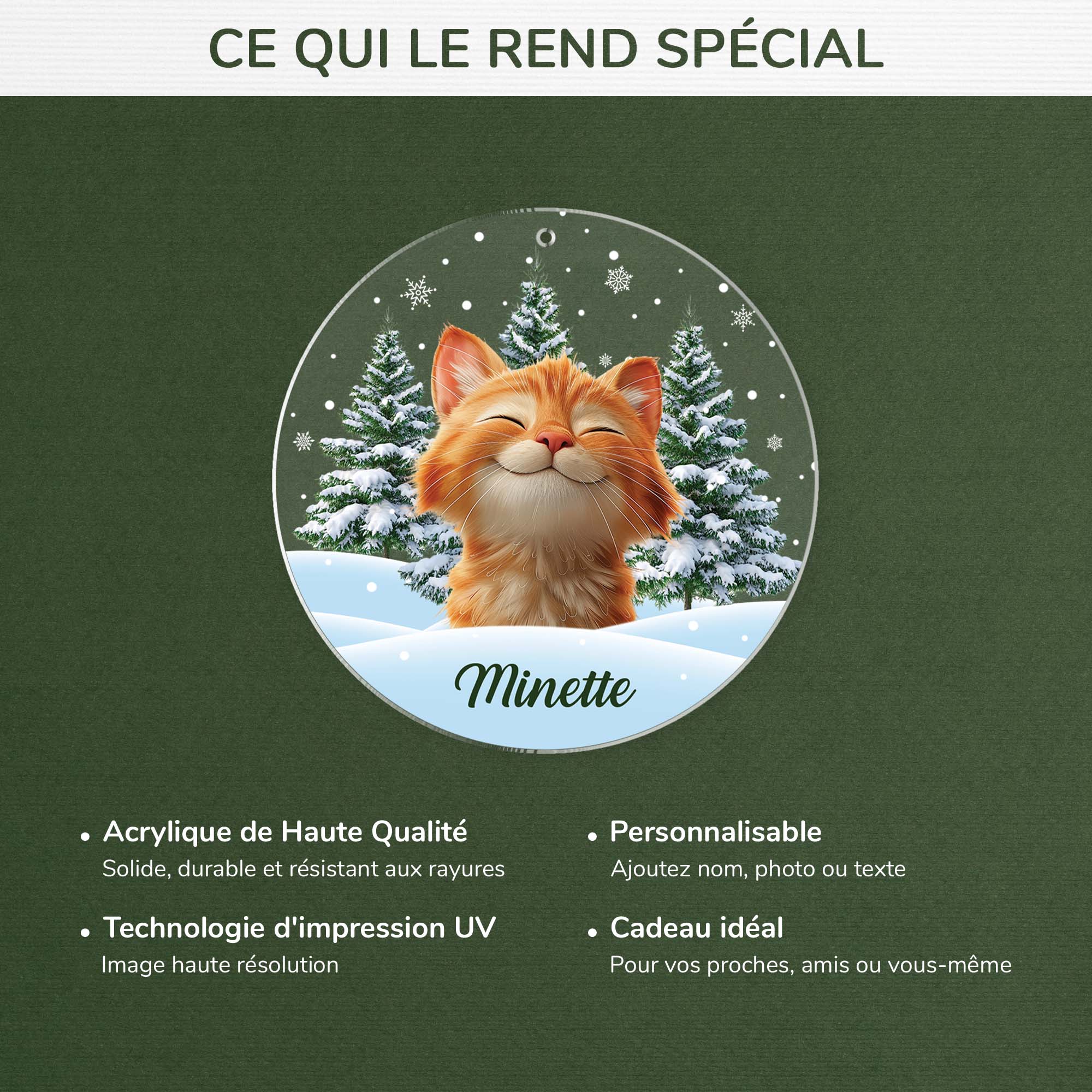 5379OFR4 ornement acrylique personnalise avec photo mon chat avec sapin de noel 5379okq5d
