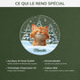 5379OFR4 ornement acrylique personnalise avec photo mon chat avec sapin de noel 5379okq5d
