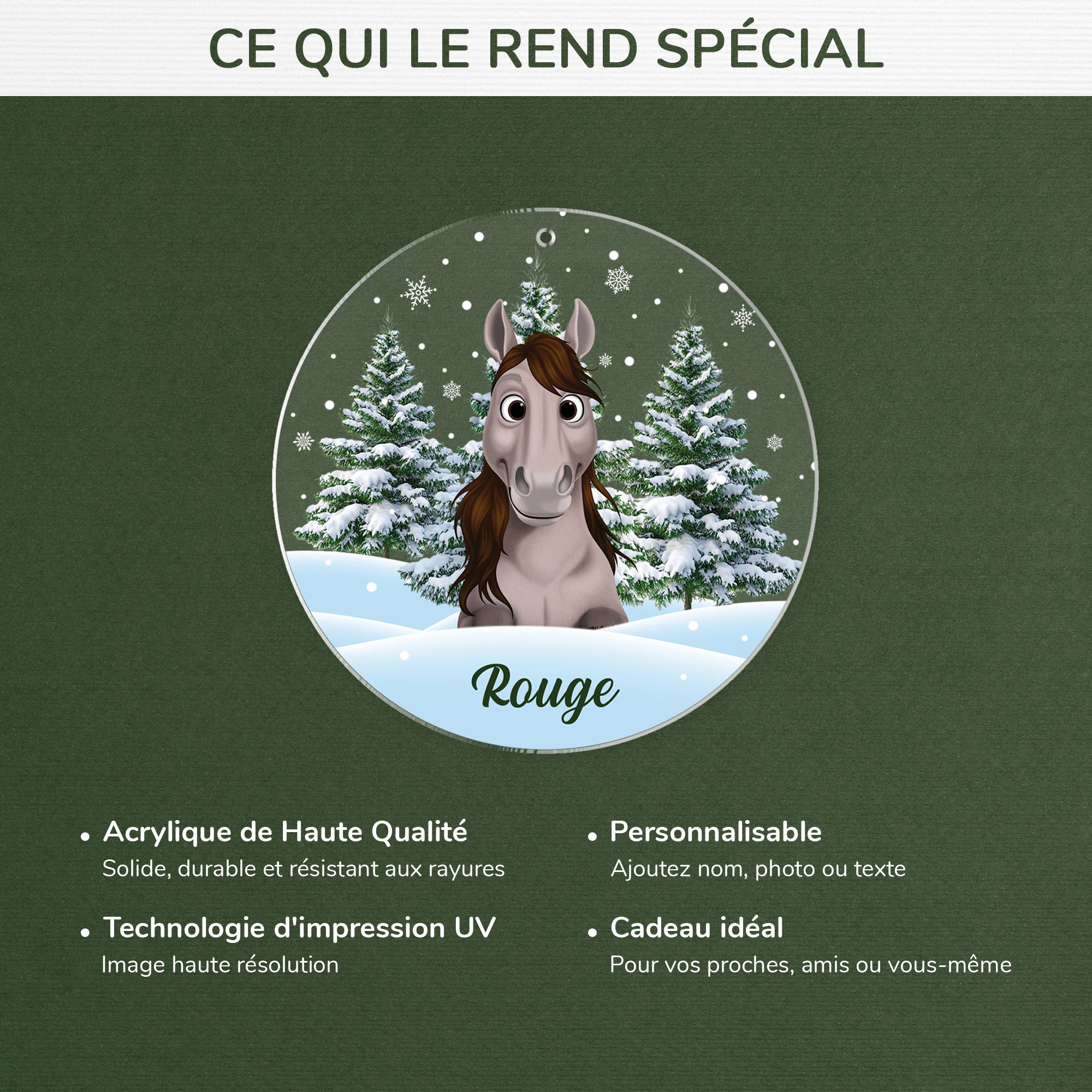 5379OFR4 ornement acrylique personnalise avec photo mon cheval avec sapin de noel 5379okq5u
