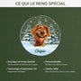 5379OFR4 ornement acrylique personnalise avec photo mon chien avec sapin de noel 5379okq5c
