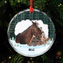 5387OFR2 ornement en verre noel carreaux personnalise cheval 5387o6vau
