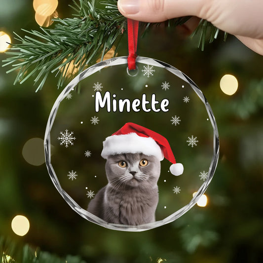 5388OFR2 ornement en verre bonnet de noel personnalise chien 5388o6vcc