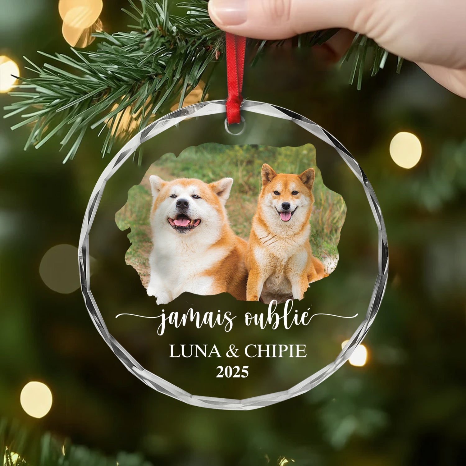 5460OFR2 ornement en verre personnalise chien photo aime pour toujours 5460okhcc_ce6761aa 2efe 404e 80bc 30439fcda2c3